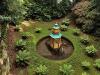 Leading Irish garden restoration plans revealed