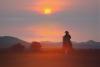 Dispatches from the Wild: Montana after Yellowstone
