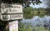 Army investigates source of toxic chemicals found in fish at major training hub in southern Germany