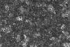 Scientists Develop Predictive Roadmap to Boost Performance in Next-Gen Spintronics 