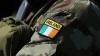 Discussions over Ireland's involvement in naval alliance