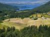 An olive farm on Salt Spring Island? Believe it — and maybe buy it