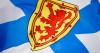 This Nova Scotia town is researching a heating system fuelled by biomass