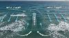 CBS12 I-Team: Are Florida beachgoers getting enough rip current warnings?