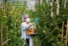 Cannabis Jobs And Sales Decline Together For The First Time Since Legalization