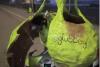 Viral Pear Car Breaks Down Near Missoula, Montana