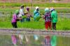 Agri devolution is a failure