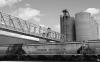 Illinois bets on biodiesel: Expanding market for domestic soybeans