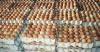 Economy42 seconds ago Distributors Kick Against Plans by Lagos to Tackle Egg Glut By Adedapo Adesanya The Eggs Sellers and Distributors Association of Nigeria (ESDAN) has kicked against the proposed plan involving the...