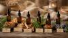 Six Biblical Essential Oils Draw Renewed Interest for Wellness Uses