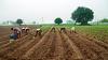 6,669 farmers, agricultural labourers ended their lives in Maharashtra in 2023: Minister