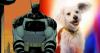 DC Studios announces Absolute Batman, Joker: Laugh Riot animated series, and an untitled kids-focused Krypto project