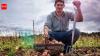 German proverb of the day: 'The stupidest farmers have the biggest potatoes'