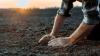 Local communities benefitting from Rural Ontario Development program investment