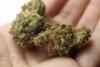 DEA Judge Sets Schedule for New Marijuana Rescheduling Hearing