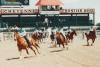 Cheyenne Frontier Days Offers Know-Before-You-Go Tips