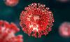 Scientists found a strange weakness hiding inside the flu virus