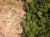 UK Government sets out rules to tackle deforestation in supply chains