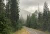 U.S. Forest Service announces emergency logging project over 5 million acres in Montana, Idaho