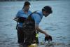Shifting Tides: Horseshoe Crab Population Shows Mixed Trends Across Rhode Island Waters