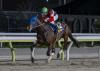 Japanese Notebook: Finger To Attempt Triple Crown, Flightline’s Demian Headed To Stakes Company