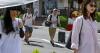 May arrivals down 23.5% amid struggling South Korea market