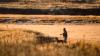 As Oregon Hunt-Fish Ban Inches Toward the Ballot, Every State Politician Is Running Away from It