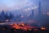 Commentary: Can AI help Oregon prepare for wildfires?