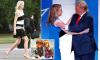 Family secrets of Trump's closest White House aide: Natalie Harp's estranged socialist brother reveals ugly details of feud... and the tragedy that shattered everything