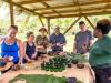 JACANA unveils platform to improve the future of Caribbean wellness