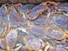 Oregon’s fishing industry celebrates new USDA Office of Seafood