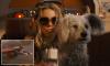 Supergirl is branded 'a dispiriting girl power disappointment' as critics label Milly Alcock's superhero movie 'ugly' and 'flat' and call the heroine a 'Gen-Z malcontent' in lacklustre reviews