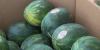 South Mississippi watermelon farmers face devastating losses after heavy rain and flooding