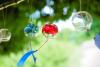 Summer Survival Products in Japan 2026