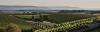Ten new voices of Australian wine are heading to the global stage