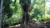 [ANN] Riverbank erosion threatens 1,000-year-old historic site in Indonesia