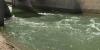 Report finds gains in Colorado River Delta, but warns of challenges ahead