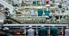Singapore cracks global top 10 for food resilience