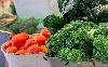 Mississippi has record number of farmers markets, but ag commissioner warns food supply at risk