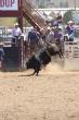 Mount Vernon youth wins state bull riding title