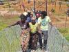 Suspension bridge transforms life in Gasabo as Dar, FIKA Rwanda connect communities