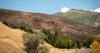 Utahns are feeling the anxiety and stress of how close wildfires are this year