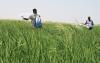 Unlocking the potential of Africa’s agricultural value chains