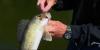 Cold Spring to host 2027 Minnesota Governor’s Fishing Opener