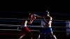 Are MMA fighters Northeast’s new sporting export?