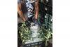 More than 90 kg of marijuana found in truck carrying cauliflower from Iran to Russia -