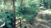 Three Possible Bigfoot Sightings Reported In Texas, Idaho And Ontario: ‘We Felt A Presence’