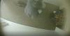 Carson City deputies looking to identify suspects in burglary investigation
