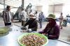 Agriculture Ministry Holds Cashew Sector Forum in Kampong Thom to Strengthen Value Chain Development