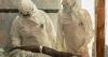 Ebola cases jump as Congo tightens travel rules